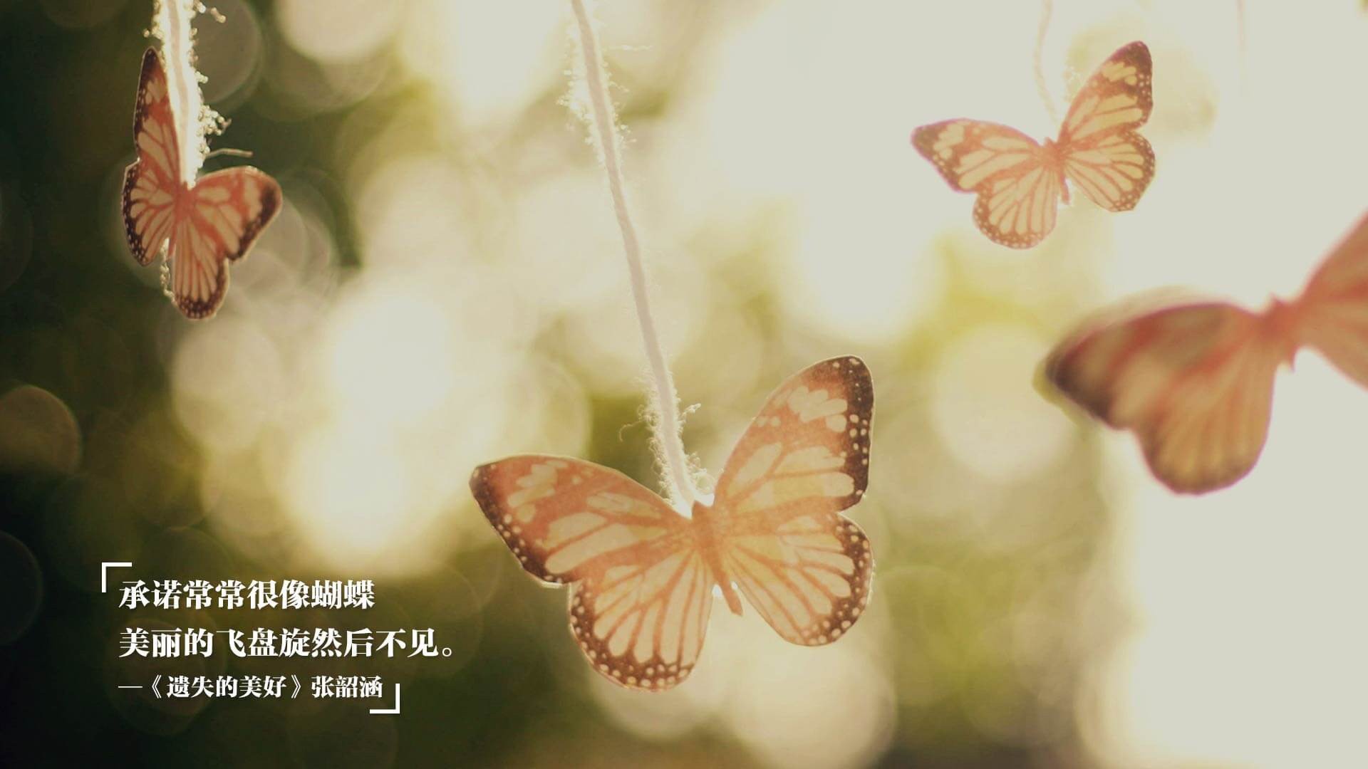 爱游戏在线-青少年足球人才库正式启动录入工作，青少年足球协会