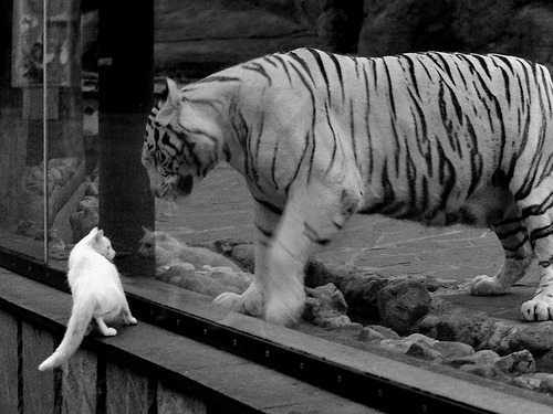 爱游戏游戏平台-青少年裁判员“云端课程+实战演练”双提升培训体系全国铺开,裁判培训班