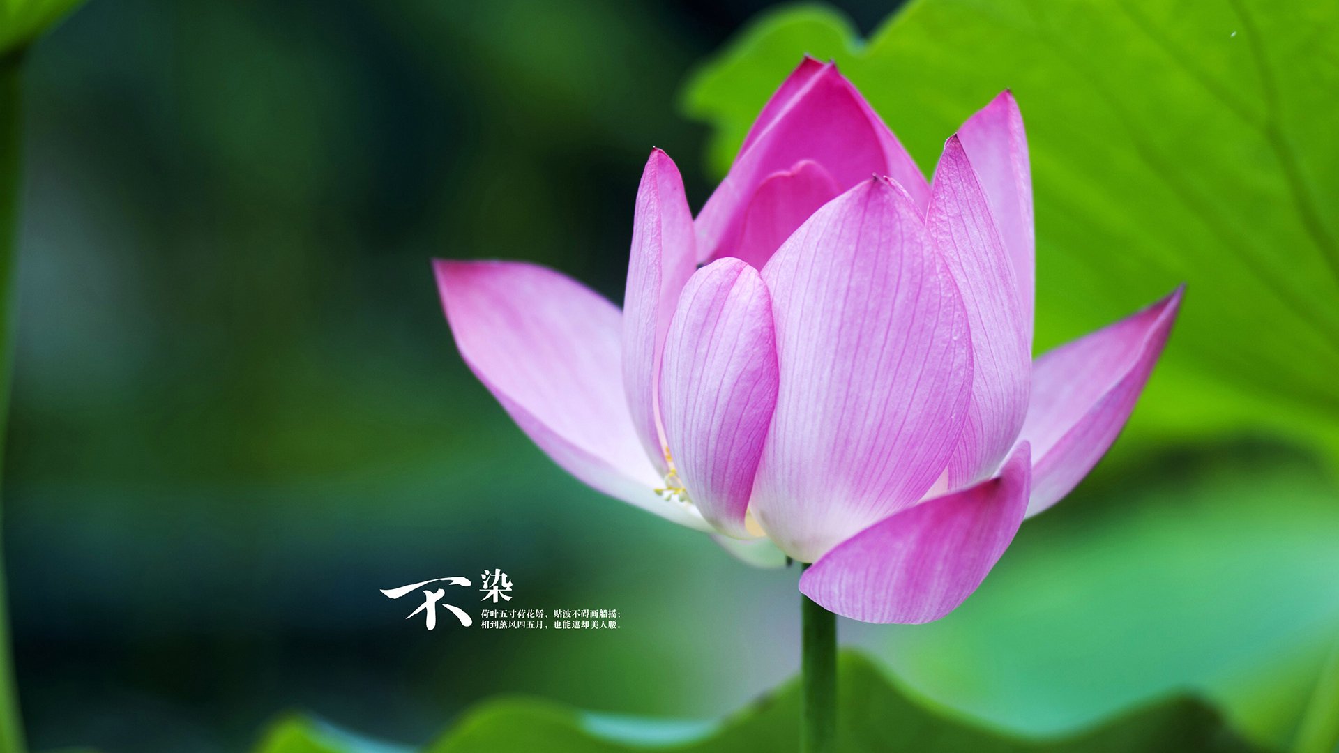 爱游戏平台体验-地方青训资源整合是否有效，青训基地是什么