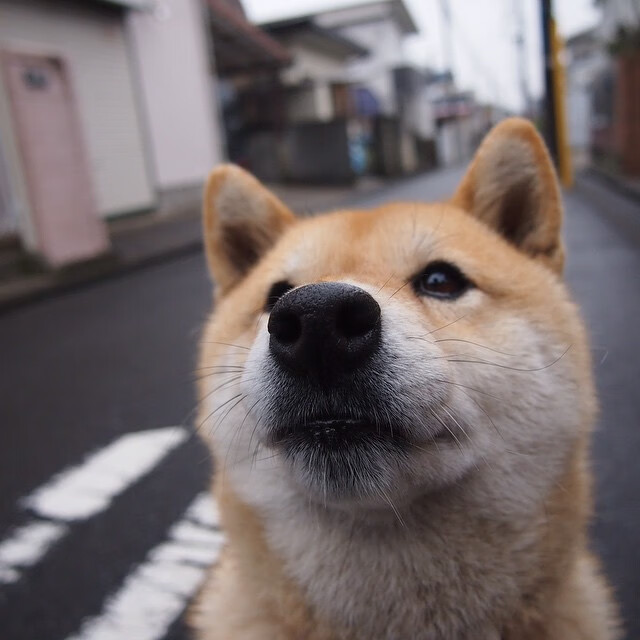 爱游戏资讯-强强碰撞！对手实力超群展开角逐挑战