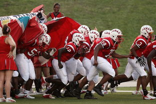 爱游戏首页入口-全国青少年马拉松赛南京站热力开启,2021南京马拉松赛