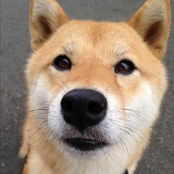 爱游戏官方入口-“新都垒球赛:决胜局来临,金牌归属悬而未决”