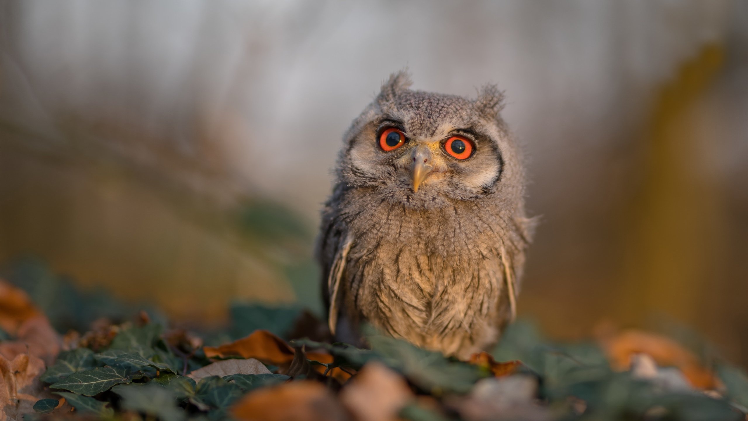 爱游戏资讯-三分射手跑位距离和速度的战术意义,三分射手sg