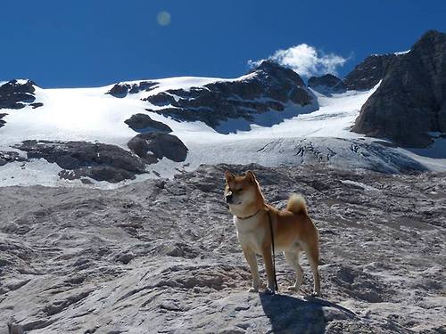 -中国女篮逐步建立双核带队新模式,中国女篮逐步建立双核带队新模式的原因